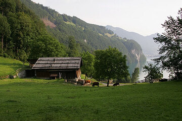 Uri Sehenswert - Ruetliwiese